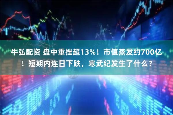牛弘配资 盘中重挫超13%！市值蒸发约700亿！短期内连日下跌，寒武纪发生了什么？