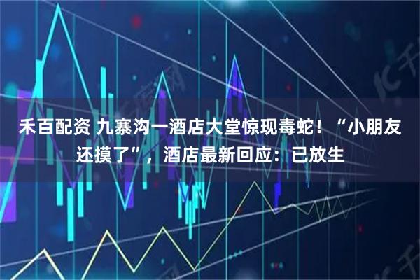 禾百配资 九寨沟一酒店大堂惊现毒蛇！“小朋友还摸了”，酒店最新回应：已放生